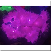 Đèn Hoa Led Sợi Quang Học NOEL 05