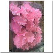 Đèn Hoa Led Sợi Quang Học NOEL 40