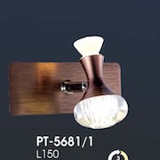 Đèn Soi Tranh VE1 PT-5861/1 L150