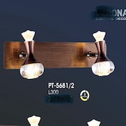 Đèn Soi Tranh led PT-5681/2 L300