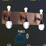 Đèn Soi Tranh VE1 PT-5861/3 L460