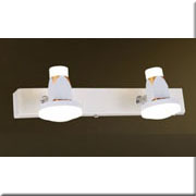 Đèn Soi Tranh, soi gương 2 đèn led PT-311/2 L300