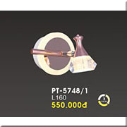 Đèn Soi Tranh, soi gương pha lê led 3 chế độ sáng PT-5748/1 L160