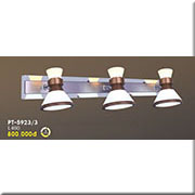Đèn soi tranh, soi gương led PT-5923/3 L460