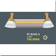 Đèn Soi Tranh, soi gương 2 đèn led PT-5249/2 L300