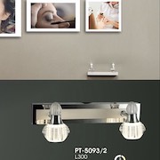 Đèn Soi Tranh VE1 PT-5093/2 L300 