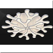 Đèn Áp Trần Led KP4 D9920-12 Ø950