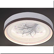 Đèn Áp Trần Led KP4 8192 Ø500