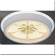 Đèn Áp Trần Led KP4 8237 Ø500