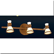 Đèn rọi gương, tranh dài 50cm led 15W 3 màu  SG-303/3