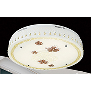 Đèn áp trần LED AU2 98110L/L Ø750xH150