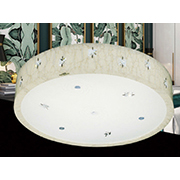 Đèn áp trần LED AU2 5551L Ø500xH120