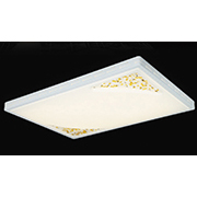 Đèn áp trần LED AU2 5598L/L 980x660xH90