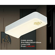 Đèn áp trần LED AU2 05559L 600x230xH120