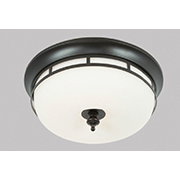 Đèn Trần Trang Trí AU2 16-X8125 Ø420xH170