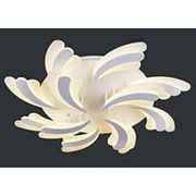 Đèn áp trần LED bông hoa 12 cánh ML-8210/8+4 Ø800