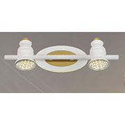 Đèn chiếu sáng tranh, chiếu đầu gương nhà tắm 2 đèn led dài 32cm 6589-2 L320