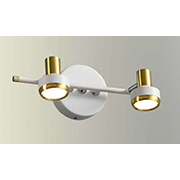 Đèn rọi tranh, rọi gương 2 đèn led dài 30cm RTA110T2 TRANG L300xH150