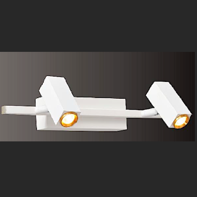 Đèn chiếu tranh, chiếu gương màu trắng 2 bóng led PT-8671/2A L320