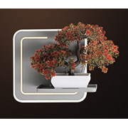 Đèn Ốp Tường HP6 V 7808 L240xH240